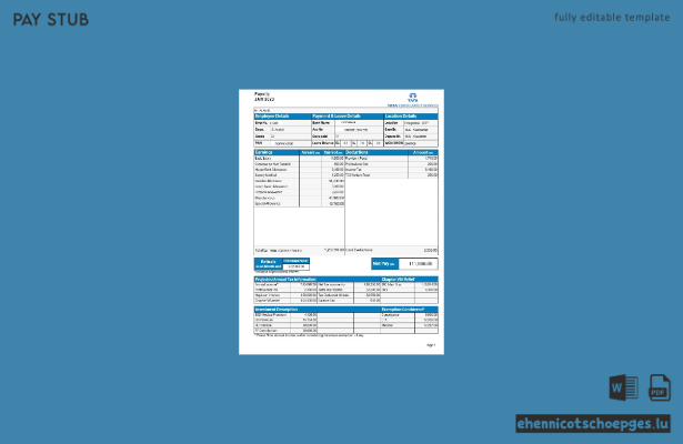 Gehaltsabrechnung von TATA Consultancy Services, Version 2 – Beispielvorschau